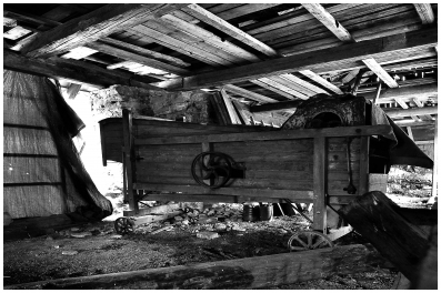 Foto: Jaroslav Hrachovec, Orava