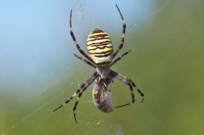 foto:Pavel Žáček