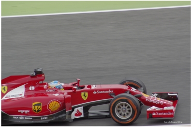 Fernando