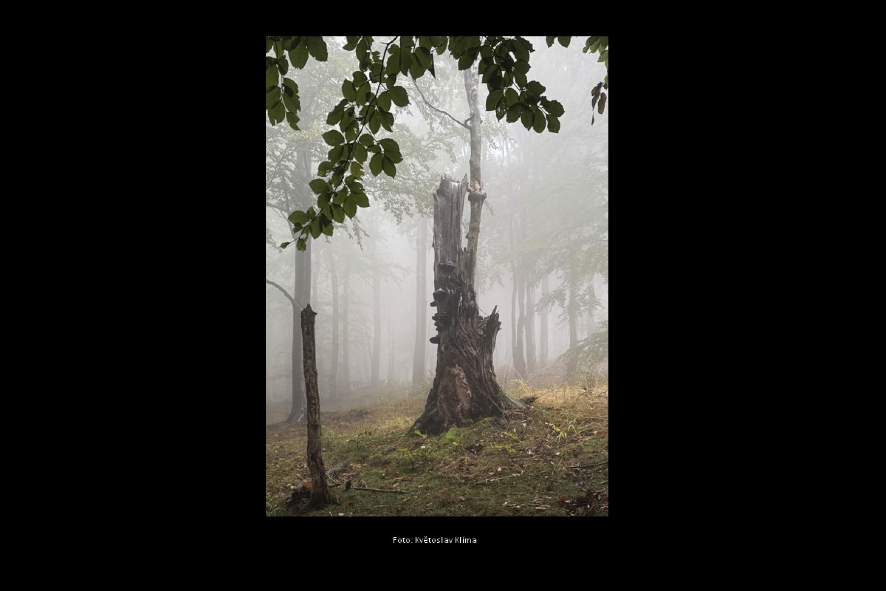 Spolek havířovských fotografů z.s.