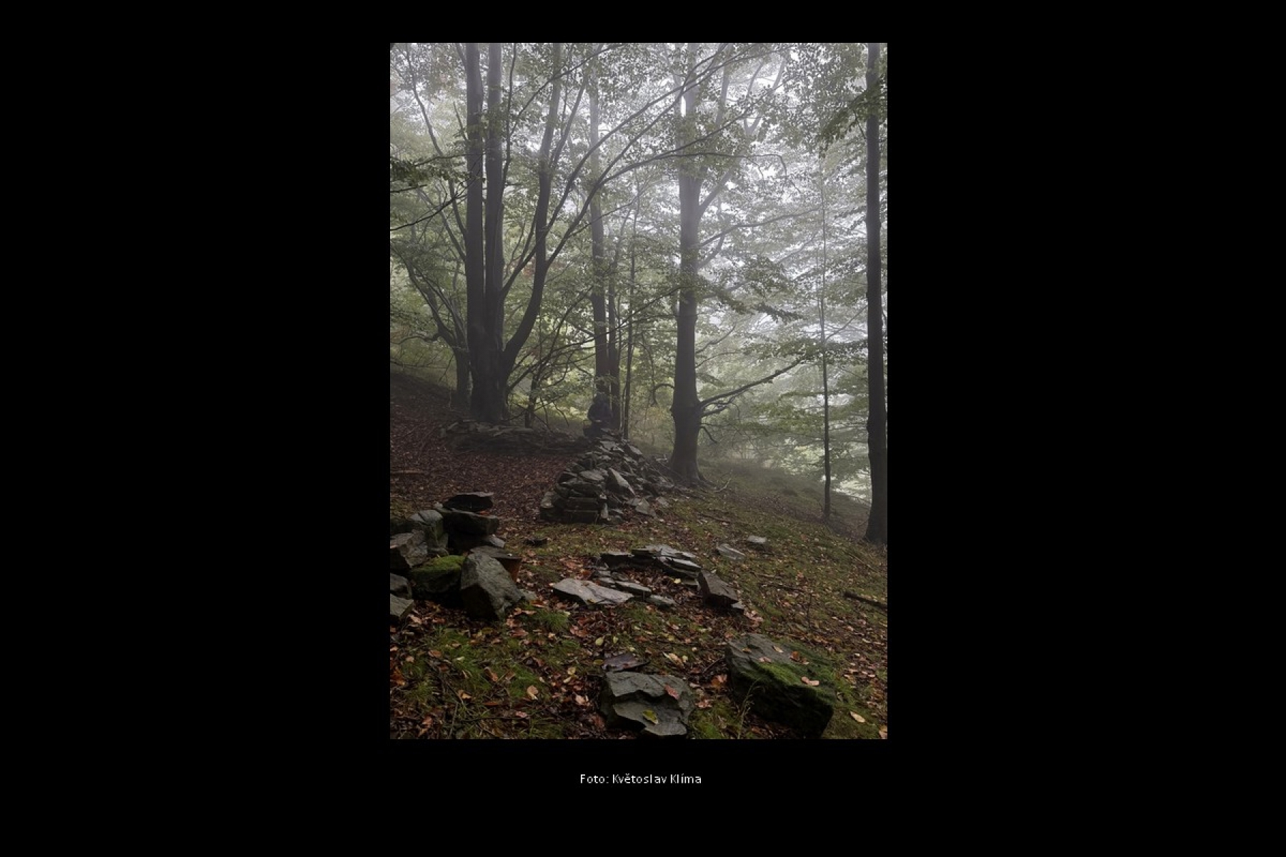 Spolek havířovských fotografů z.s.