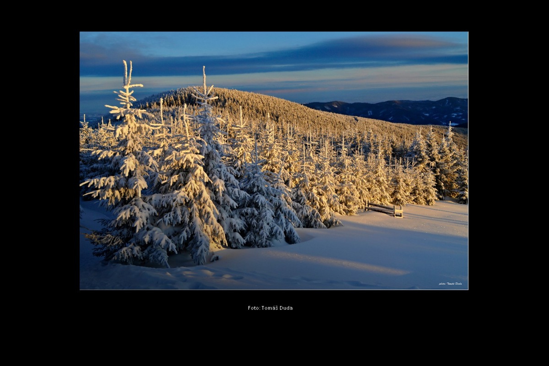 Spolek havířovských fotografů z.s.