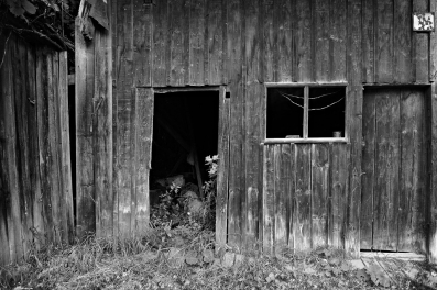 Orava