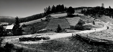 Orava