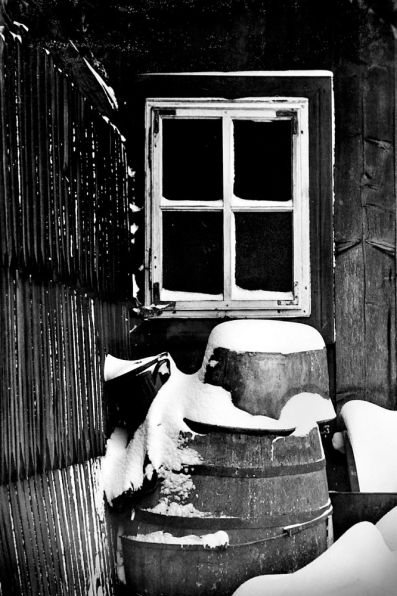 Orava
