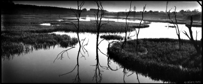 Průmyslová krajina